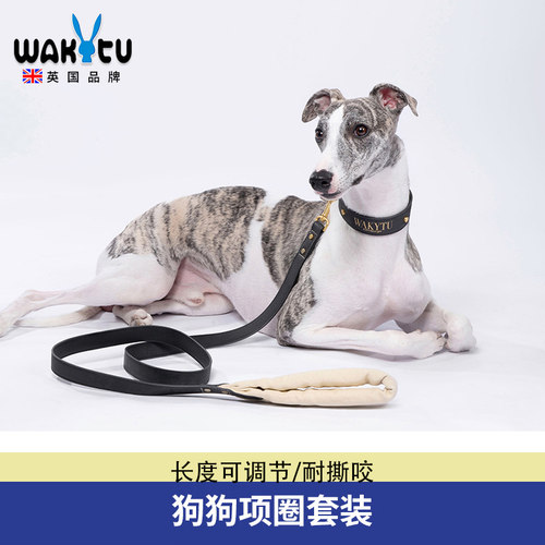 Wakytu英国狗狗绳子项圈 P链遛狗牵引绳防挣脱爆冲狗链子中大型犬
