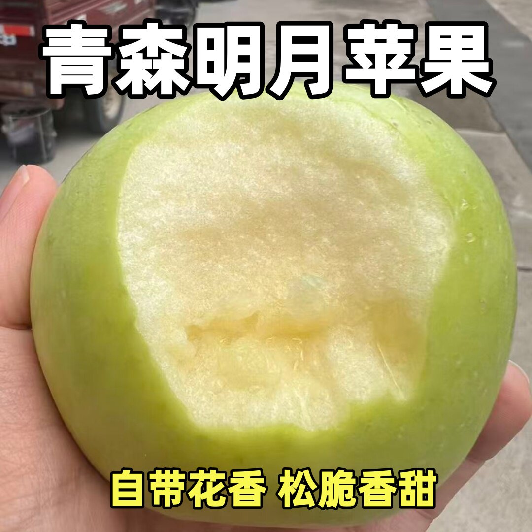 脆甜现货2026青森明月苹果