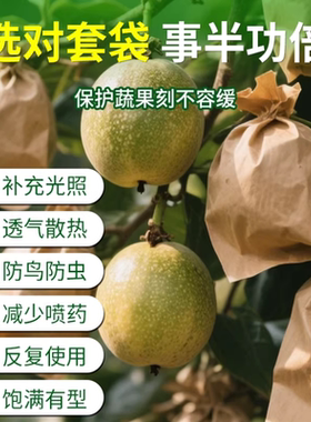 百香果套袋防鸟防虫防蚊蝇