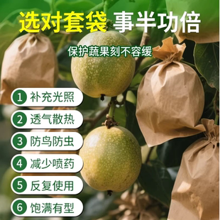 百香果套袋水果防鸟防虫保护蔬果纸袋子专用热情果鸡蛋放蚊蝇雨