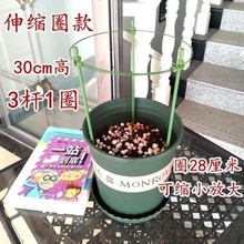 室内爬藤架多层固定月季花架支撑架1
