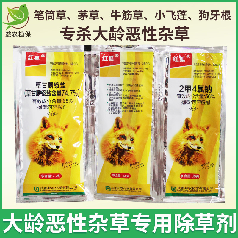 红狐 草甘膦 2甲4氯钠抗性杂草笔筒草丝茅草小飞蓬杀根烂根除草剂