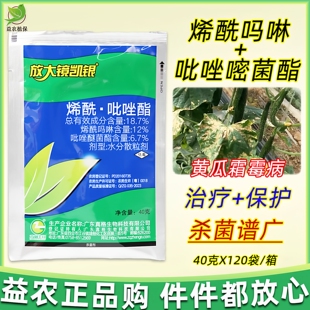 放大镜凯银烯酰吡唑酯霜霉病黄瓜葡萄烯酰吗啉吡唑醚菌酯杀菌剂