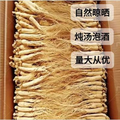 50根长白山人参小人参干参老人参白参生晒参煲汤材料泡水泡酒滋补