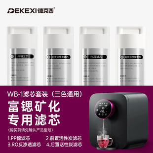 RO膜一支用2年 1富锶滤芯2年5支套装 德国德克西DEKEXI