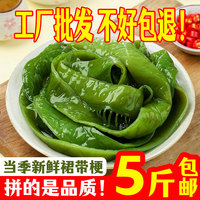 大連頭茬裙帶菜海白菜梗5斤裝