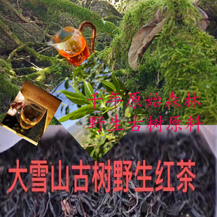 云南省临沧市大雪山野生古树红茶晒红2023年新头茶春茶250克包邮