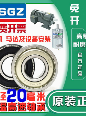 RSGZ内径20mm轴承6704 6804 6904 16004 6004 6204 6304ZZ RS