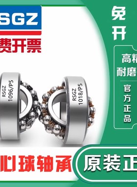 RSGZ调心轴承1220 1221 1222 1224 1226 1001226 1228 1001228 RS
