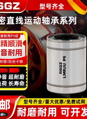 RSGZ耐高温直线轴承 LM 6 8 10 12 16 20 25 30 35 40 GA钢保持架