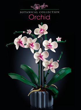 兰花绿色植物盆景鲜花永生花束成年人女孩拼装积木摆件礼物10311