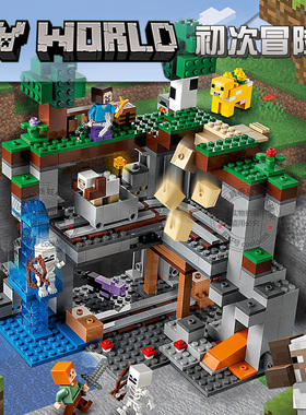我的世界系列初次冒险人仔村庄房子男孩子儿童拼装积木玩具21169