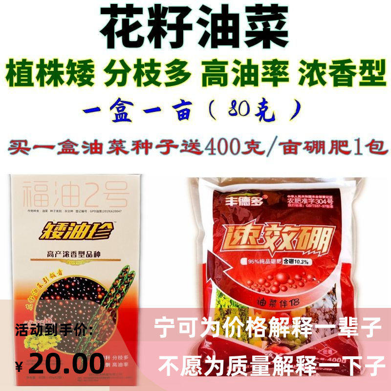 甘蓝型冬油菜花籽油菜种子矮油珍矮油王植株矮高油率浓香型早中熟