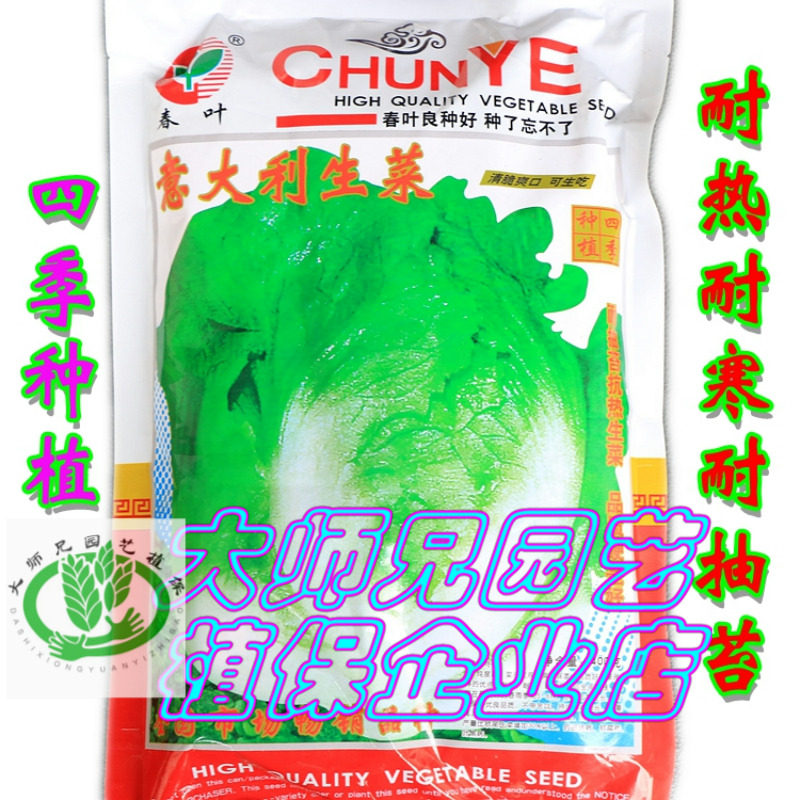 Lettuce Lettuce Italy Lettuce Four seasons sow Bolting Heatin the Agricultural goods , Seed/Seedlings , Vegetable Seeds  category - from Buy2taobao.com to provide professional Taobao agent buy service