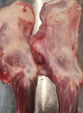 新鲜现杀横山羊肉羊前腿6斤陕西特产国家地理标志产品山羊腿顺丰