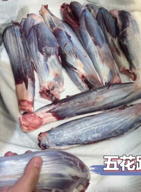 五花趾潮汕火锅涮肉食材5斤西北特产五花腱牛腱子清真散养冷冻顺F