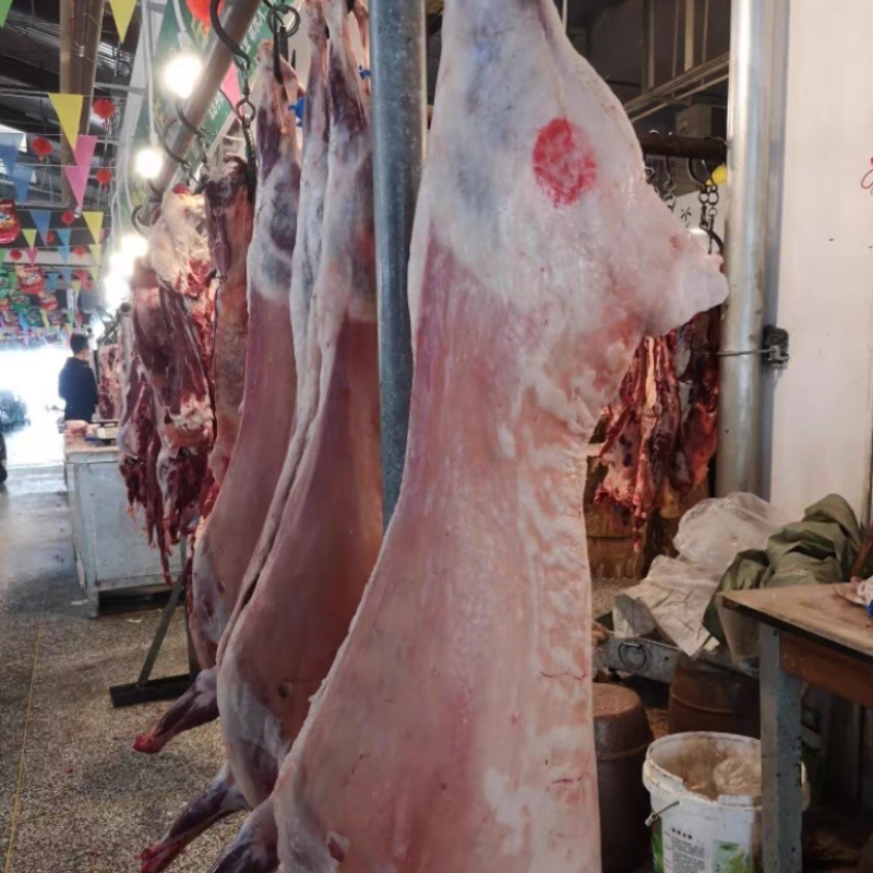 全羊新鲜宁夏滩羊现宰冷冻放养