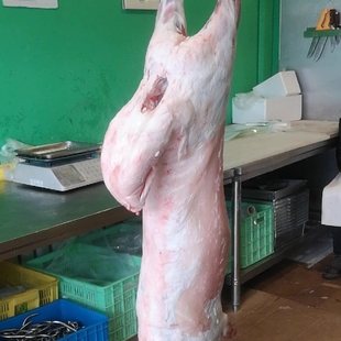 盐池滩羊肉整只全羊35斤白条羊羊腔子宁夏清真新鲜现杀无头内脏肥