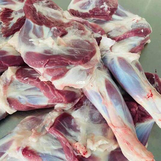 环县羊羔肉羊前腿7斤甘肃特产烤羊腿食材清真散养新鲜冷冻顺丰