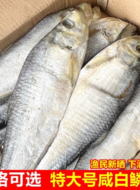 山东日照特大号咸白鳞鱼干整只渔民新晒下酒下饭海鲜