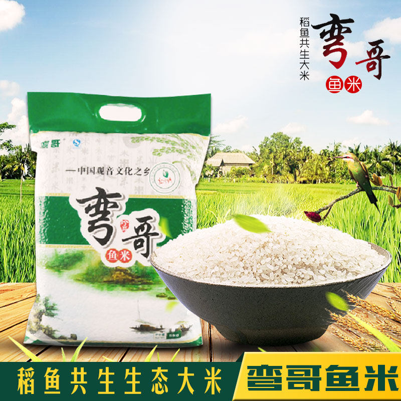 遂宁射洪县特产弯哥鱼米5kg生态原香大米味清香可口s1eoektx