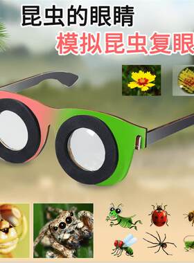 学生科实验多菱镜昆虫的复