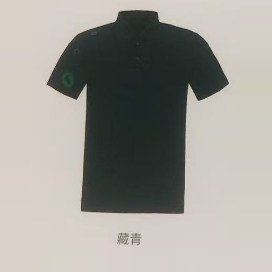 Cantorp肯拓普户外2025春夏新款 专柜 男式POLO衫T恤C222599921