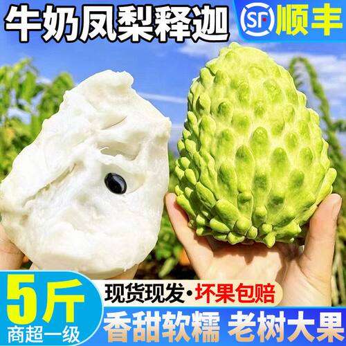 【顺丰】新鲜牛奶凤梨释迦果5斤牟尼佛头大果大目番荔枝当季水果3