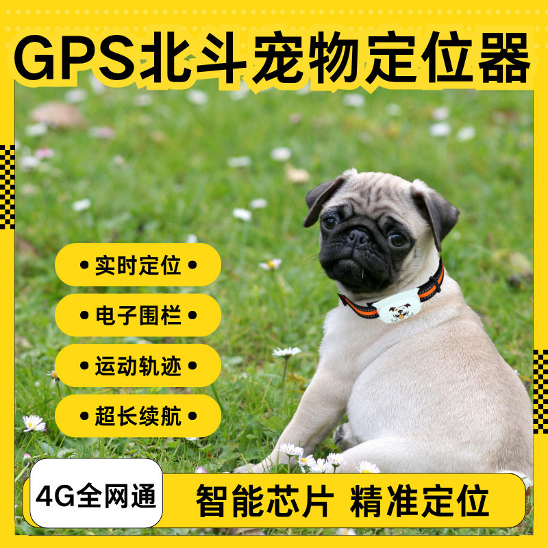 宠物项圈4g防丢gps定位器、狗狗、猫猫智能追踪器毛孩子防丢
