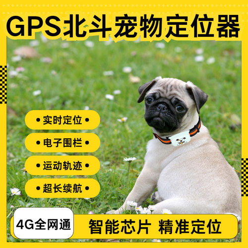 宠物项圈4g防丢gps定位器、狗狗、猫猫智能追踪器毛孩子防丢