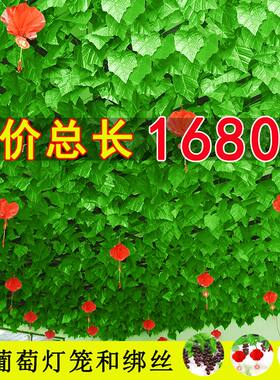 仿真绿箩植物假绿叶藤条