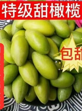 金灶甜种冰糖橄榄新鲜青橄榄