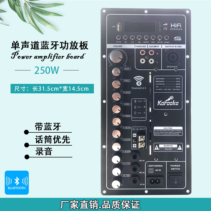DSP大功率蓝牙功放板单声道 户外音箱改装主板内置话筒防啸叫功能