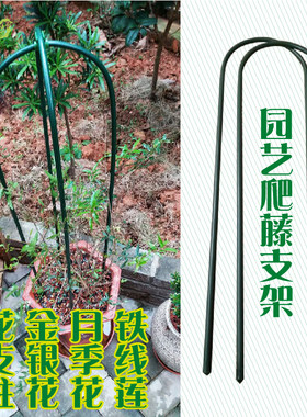 盆栽u型爬藤架花架攀爬架月季