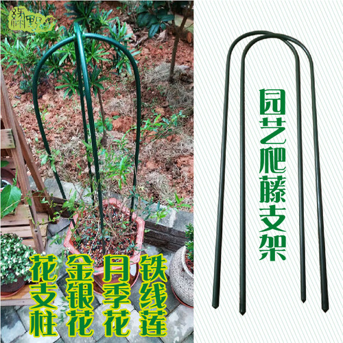 盆栽u型爬藤架花架攀爬架月季