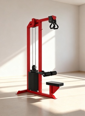 SELECTORIZED LAT PULLDOWN/ROW COMBO高低拉高拉机高拉背划船低