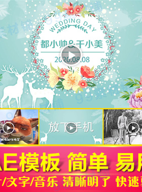 搞笑婚礼快闪AE模板蒂尼夫小清新淡雅蓝色大屏幕LED视频代制作