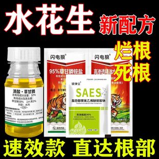 水花生专用药除根药专杀水花生芦苇革命草牛筋草一滴死除草烂根剂