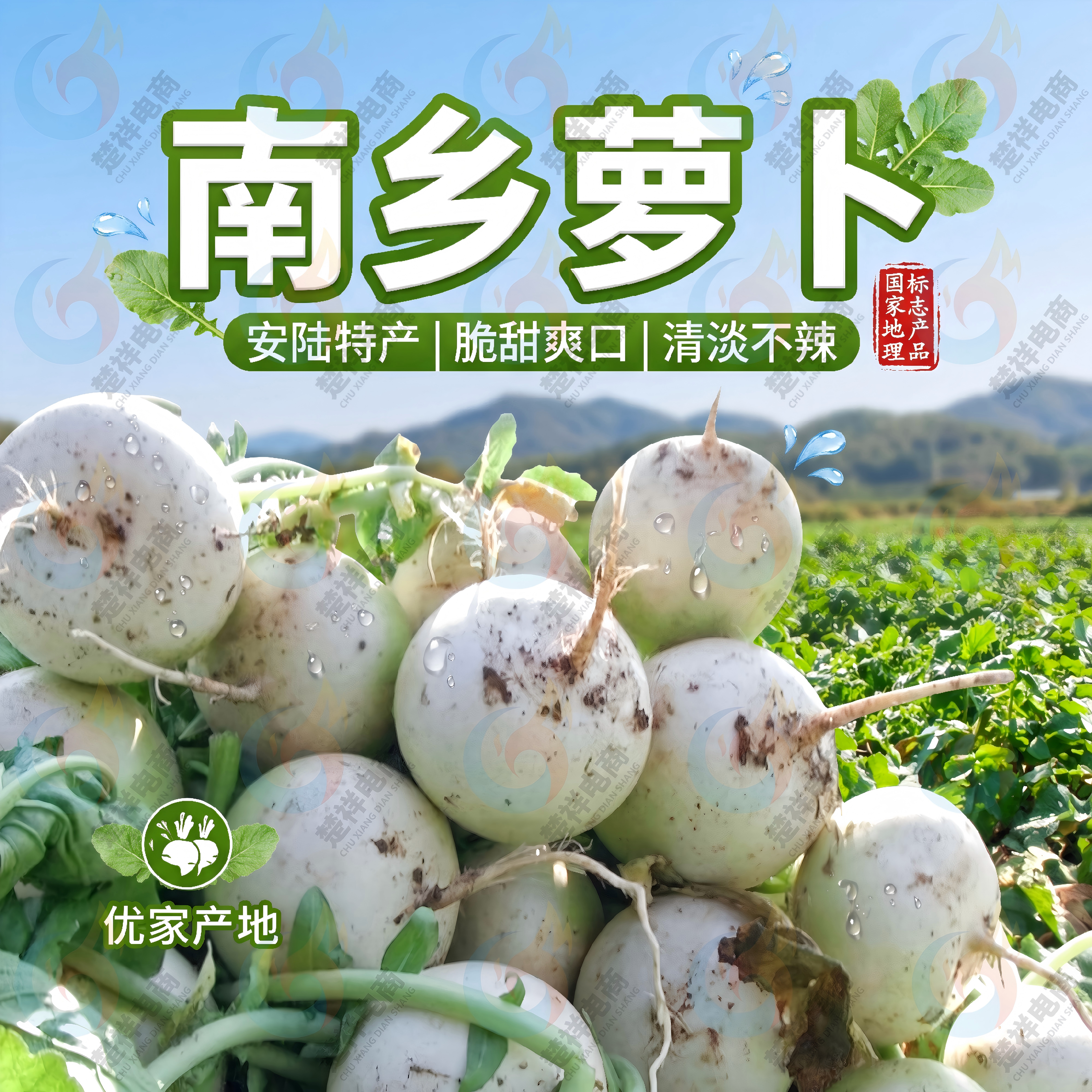 正宗安陆南乡萝卜清甜脆爽不辣口