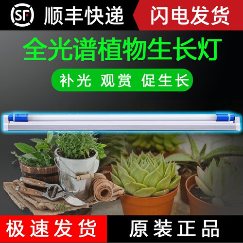 植物培育灯质量怎么样 植物培育灯口碑怎么样 小麦优选