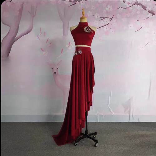 傣族舞蹈服花腰傣门傣家姑娘艺考服表演出比赛孔雀开 叉大摆裙儿