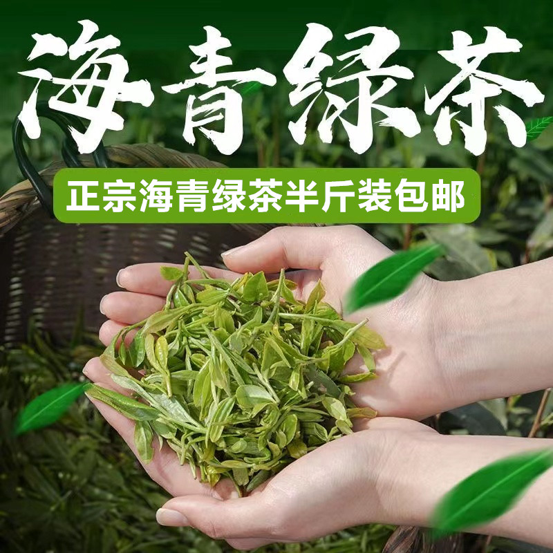 2026年海青绿茶新茶赛崂山春茶叶青岛特产明前碧螺春炒青250g包邮图片