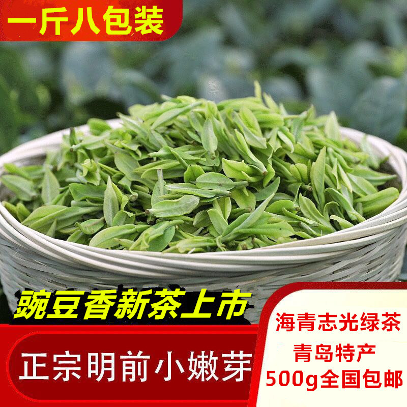 海青绿茶2026年明前春茶炒青新茶叶豆香日照充足青岛特产250g包邮图片