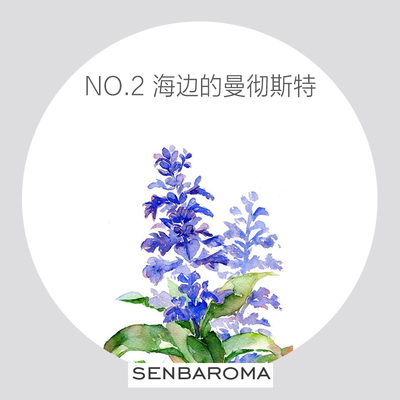 ｛海边的曼彻斯特｝No.2鼠尾草&海盐 马郁兰原创致敬系列精油香水