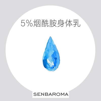 烟酰胺身体乳森白与皂