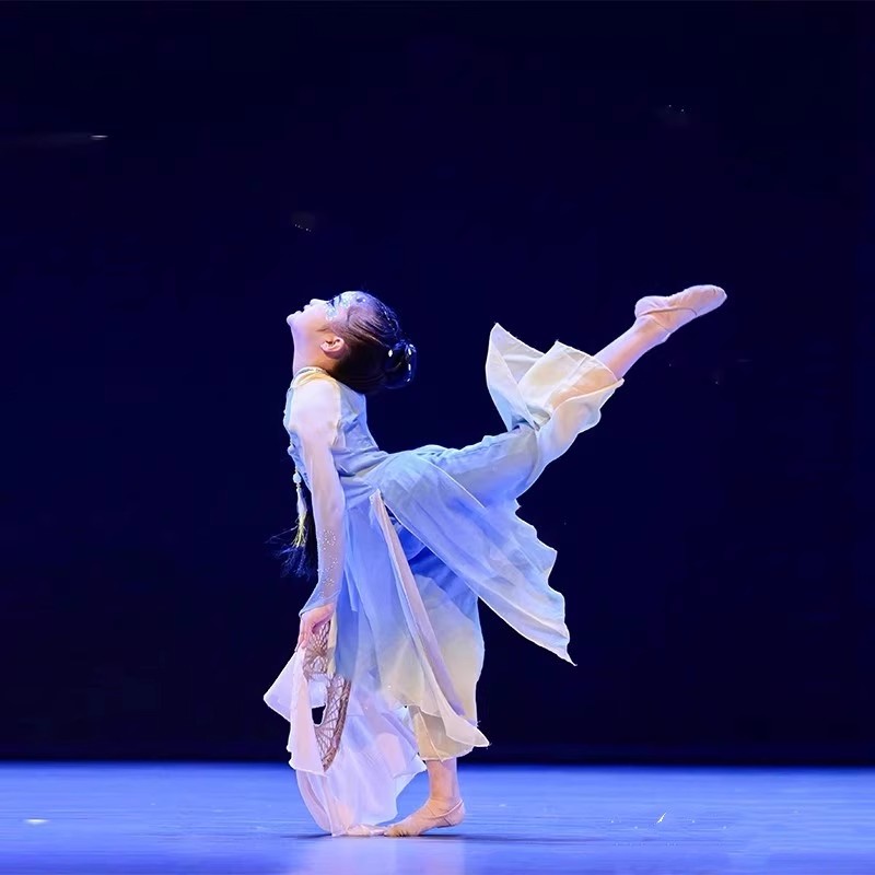 桃李杯独舞映花雨舞蹈服舞道具青烟里春来花自放斗笠舞蹈古典舞