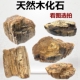 鱼缸装 饰造景木化石水草缸造景树化石木纹造石景石头天然乌龟晒台