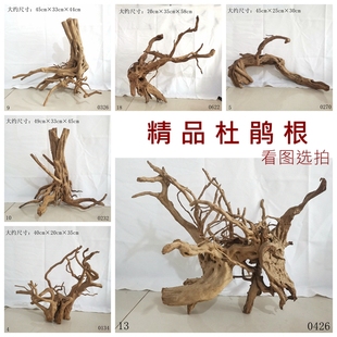 天然沉木杜鹃根精品栖根鱼缸水草缸雨林缸树枝树根造景微景观素材