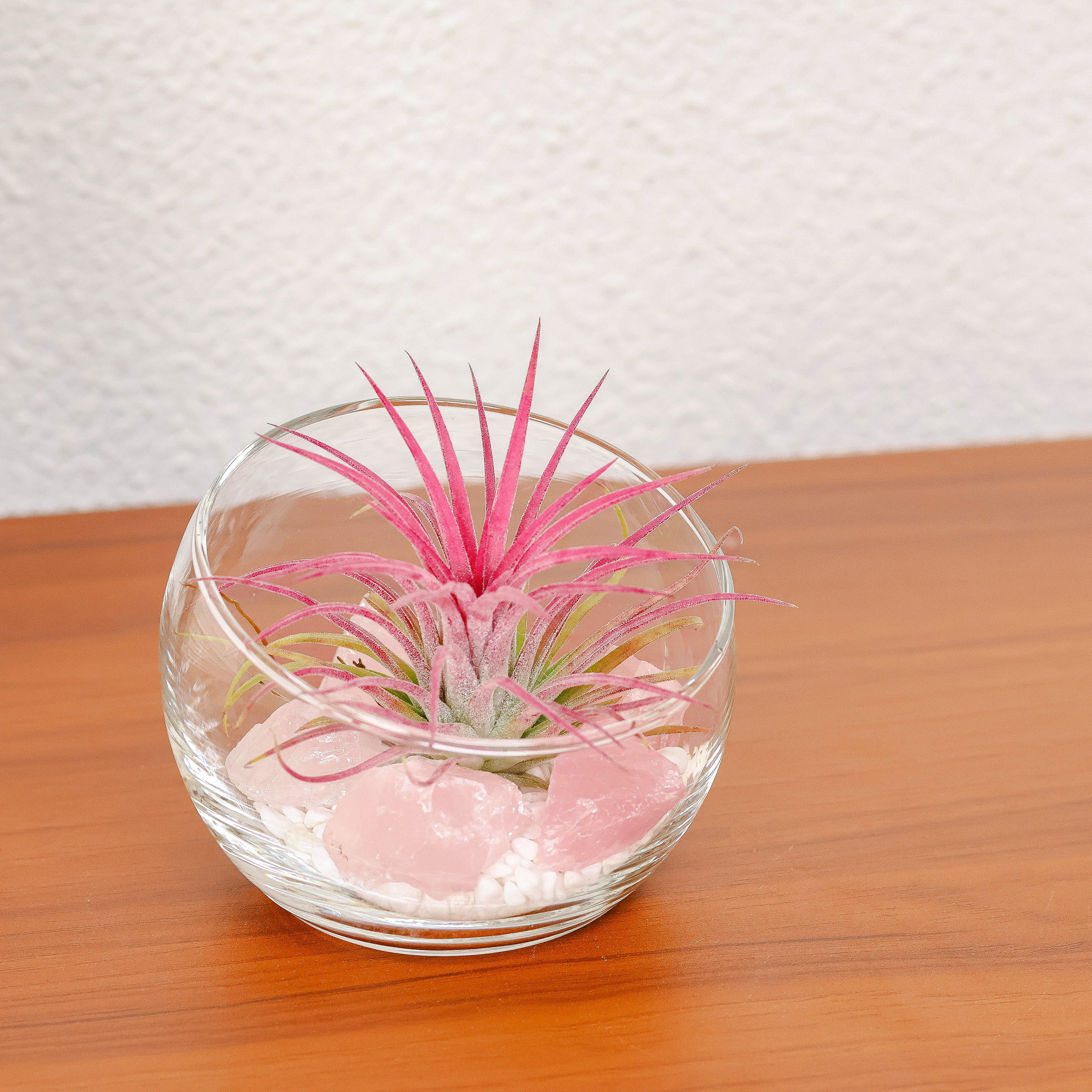 潮流精品,品质保证