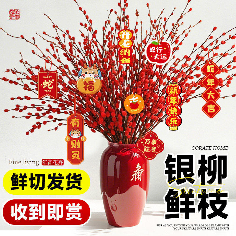 银柳真花鲜枝抱抱福桶喜庆年宵花卉盆栽室内红色干花水培植物春节,鲜花速递/花卉仿真/绿植园艺,绿植,淘宝优惠券,粉丝福利购,淘宝优惠卷